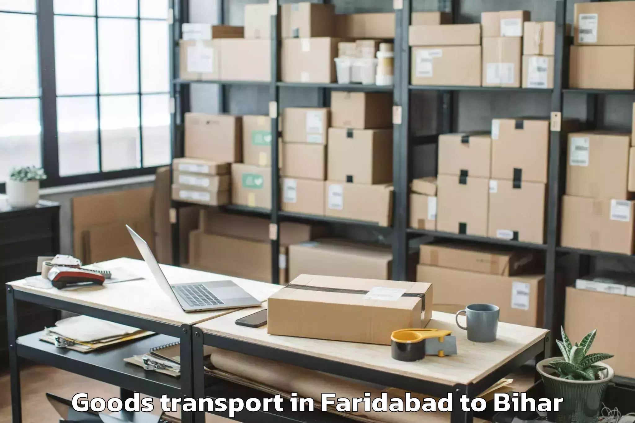 Professional Faridabad to Belaganj Goods Transport